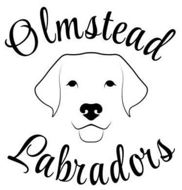 Your Business Name